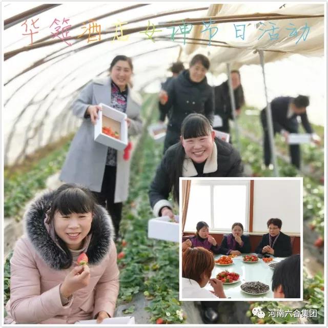 微信圖片_20180529083649.jpg